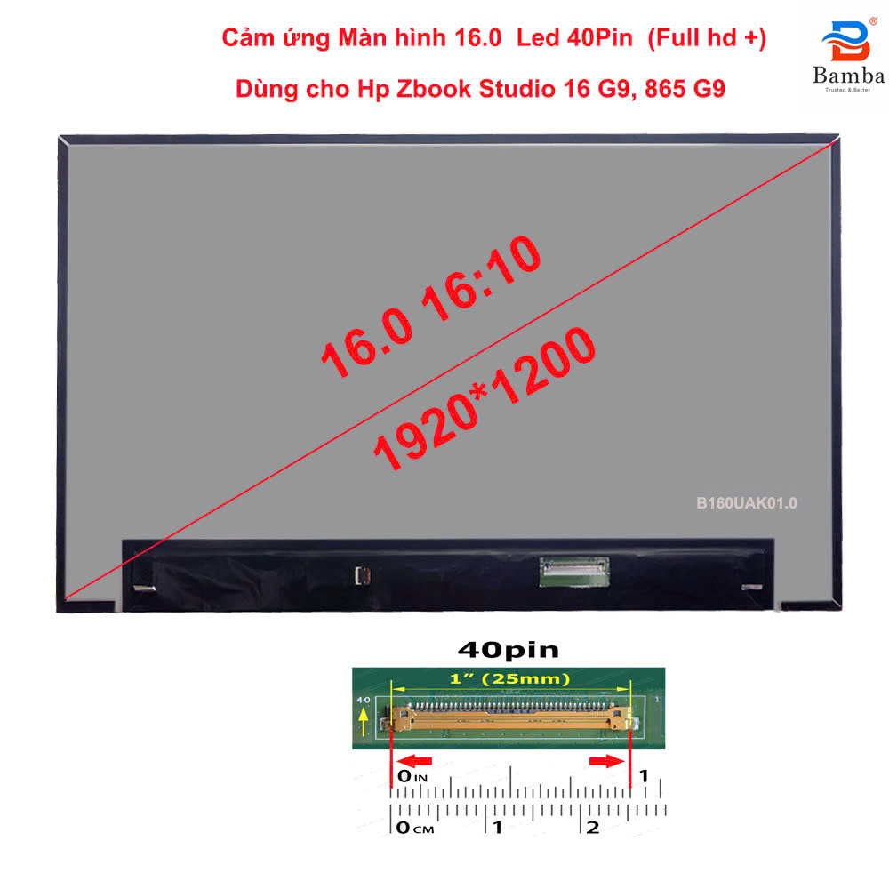 865g9